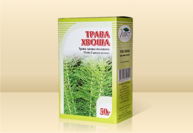 Полевой хвощ: лечебные свойства