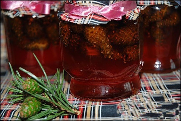 Варенье из еловых шишек