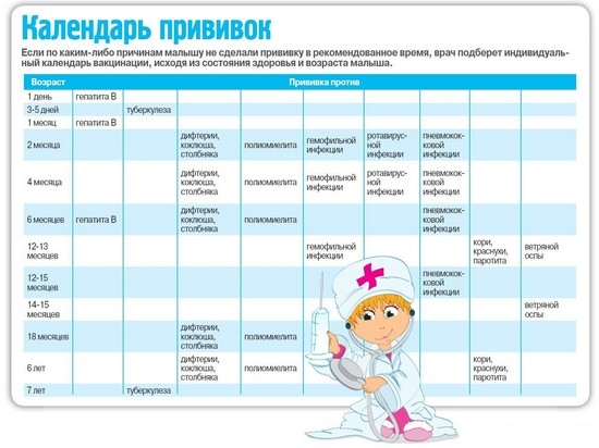 График прививок для детей до года