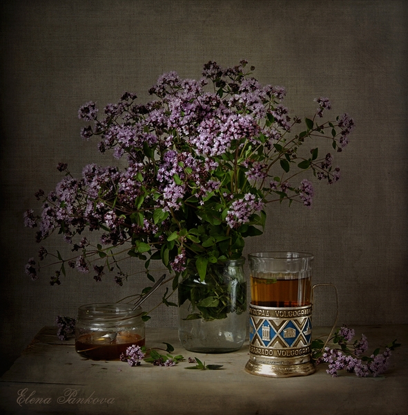 Душица: полезные свойства