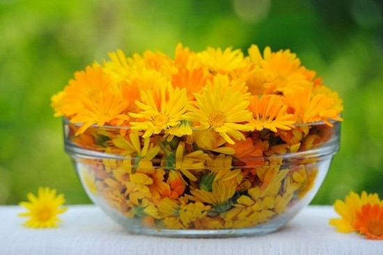 Средства народной медицины на страже поджелудочной железы