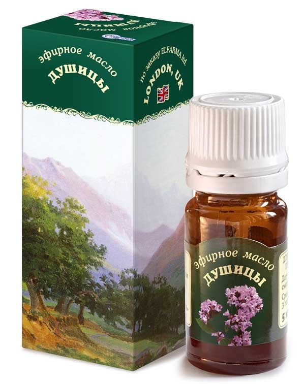 Душица: полезные свойства