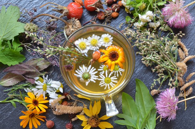 Отвар из трав и цветов
