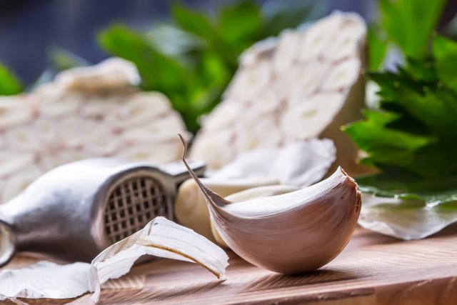 Чеснок
