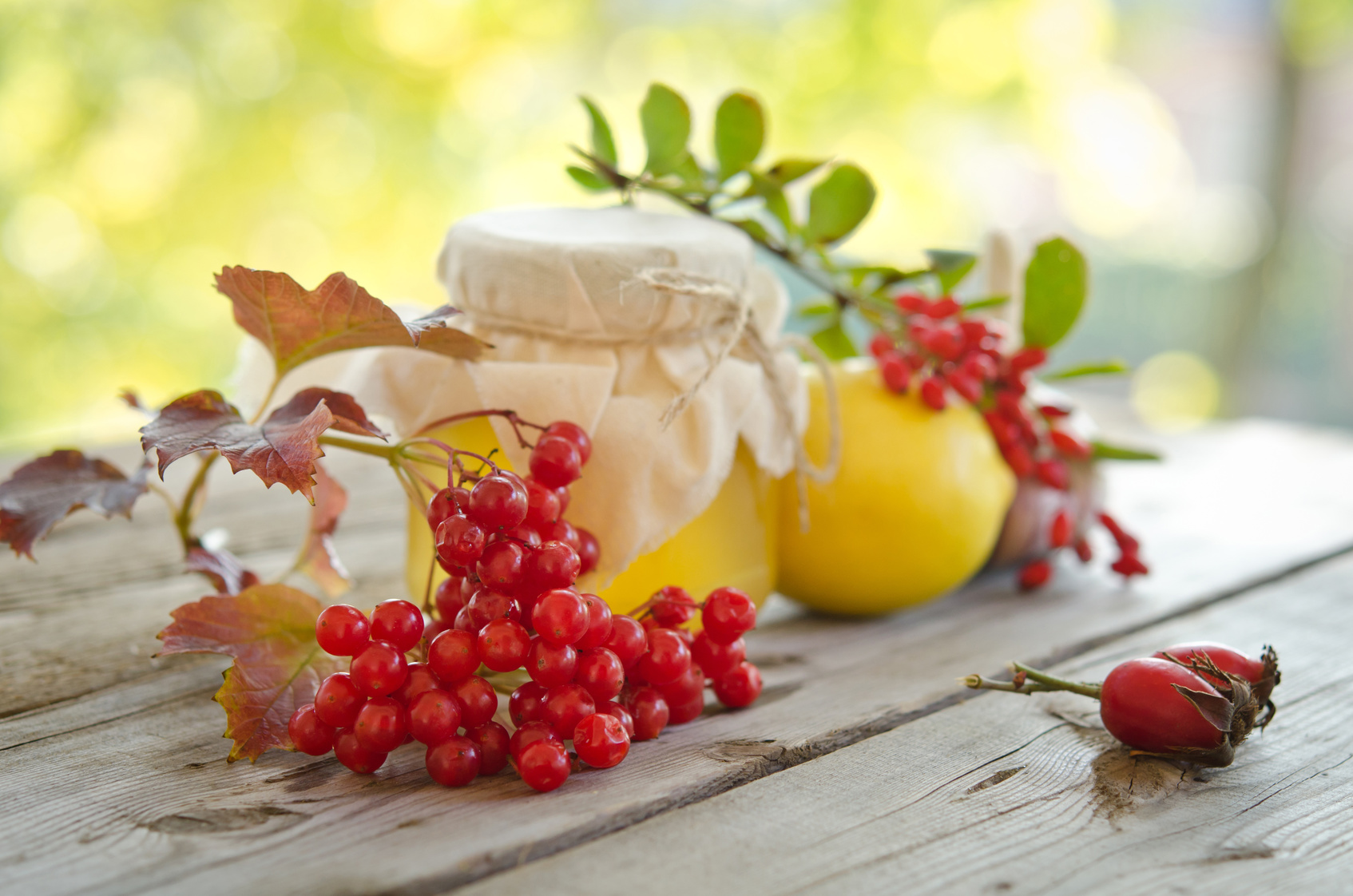 Мед с калиной