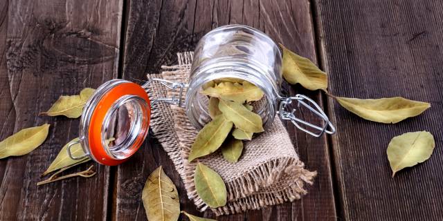 Лавровый лист